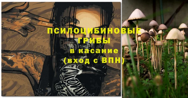 ешки Волоколамск