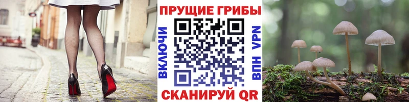 Купить где  Андреаполь  Галлюциногенные грибы мухоморы 